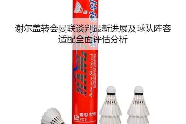 谢尔盖转会曼联谈判最新进展及球队阵容适配全面评估分析